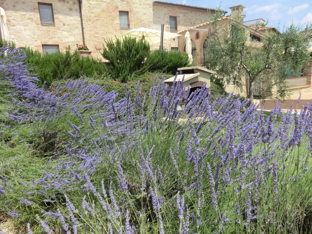 La Pieve Di San Martino Konuk evi Colle Val D'Elsa Dış mekan fotoğraf
